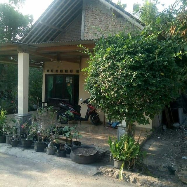 DIJUAL RUMAH SLEMAN : RUMAH BALECATUR