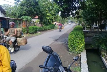 DIJUAL TANAH  JAWA TIMUR : TANAH SIDOARJO