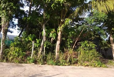 DIJUAL TANAH  BANTUL : TANAH BAMBANGLIPURO