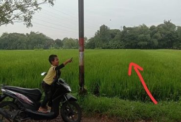 DIJUAL TANAH  BANTUL : TANAH DI TAMANAN