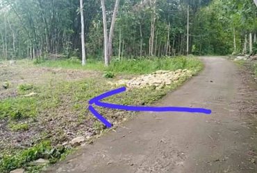 DIJUAL TANAH  BANTUL : PEKARANGAN DI SEDAYU