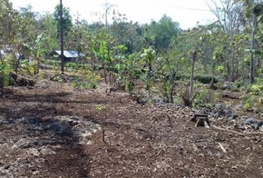 DIJUAL TANAH GUNUNGKIDUL : PEKARANGAN TEPUS