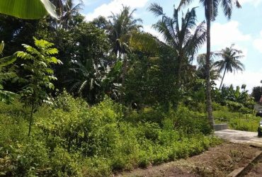 DIJUAL TANAH BANTUL : TANAH STRATEGIS