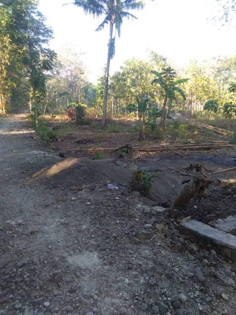 DIJUAL TANAH GUNUNGKIDUL : TANAH PULUTAN