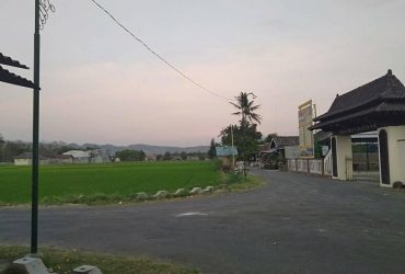 DIJUAL TANAH SLEMAN : TANAH BERBAH