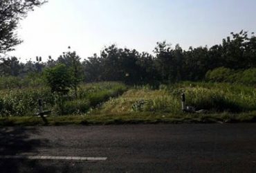 DIJUAL TANAH GUNUNGKIDUL : TANAH KEPIL